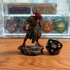 Male Red Dragonborn · PC Painted Mini · 35mm