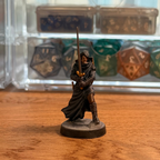 Human or Elf Mysterious Adventurer · PC Painted Mini · 32mm