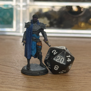 Drow Rogue Mini · PC or Villain Painted Mini · 28mm