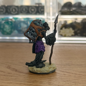 Kenku Scavenger Mini · PC or NPC Painted Mini · 32mm