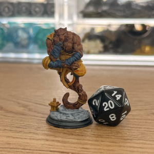 Tabaxi Monk · PC or NPC Painted Mini · 32mm